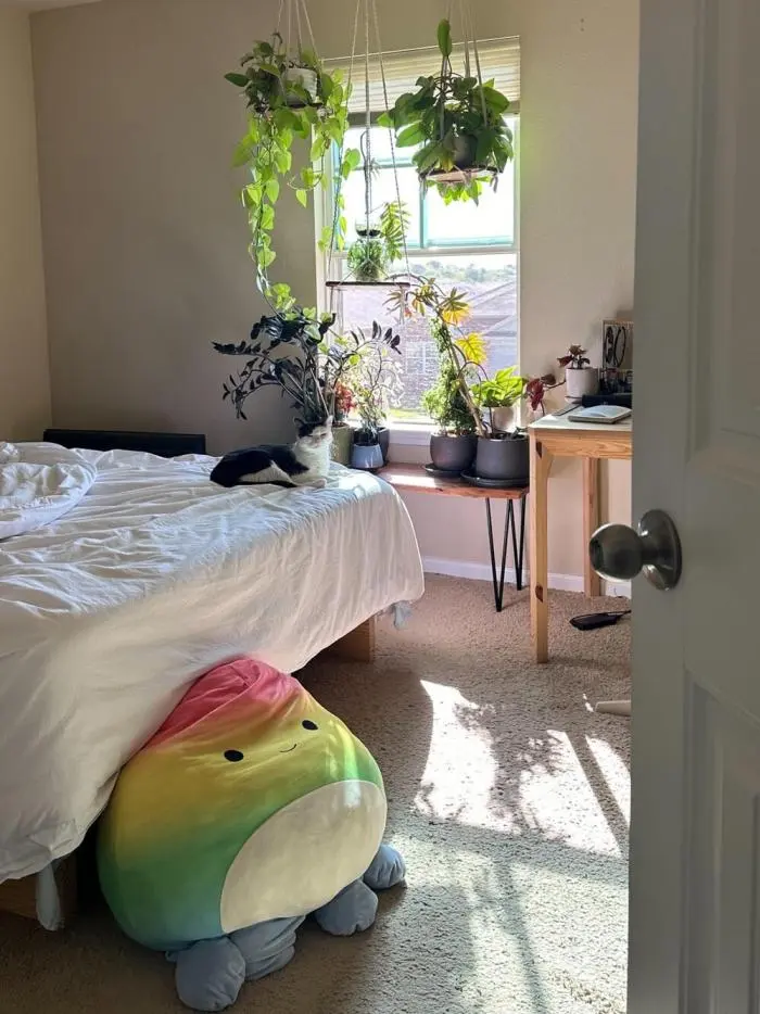 Коты среди цветов: весенняя подборка умилительных фото