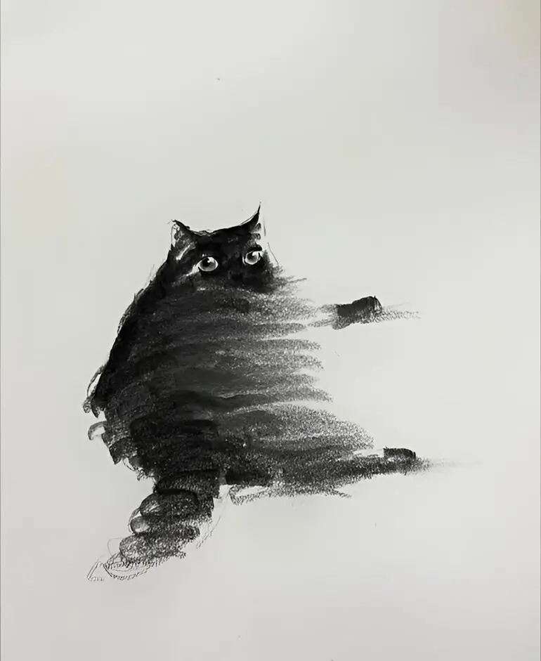 Карандашные котики Шоу Синя: минимализм, который вдохновляет