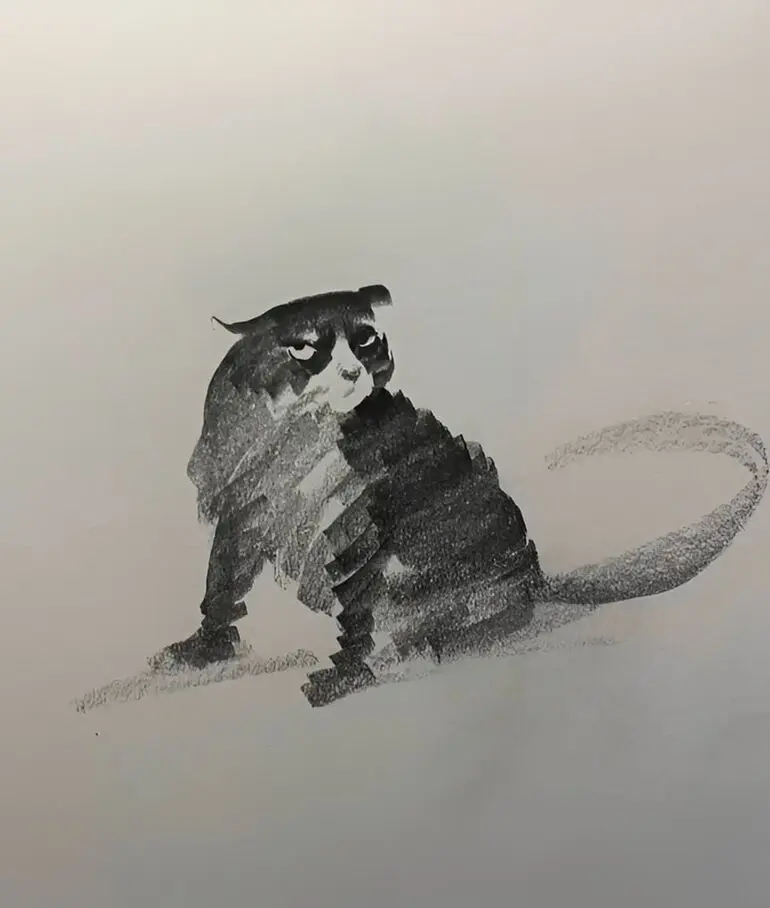 Карандашные котики Шоу Синя: минимализм, который вдохновляет