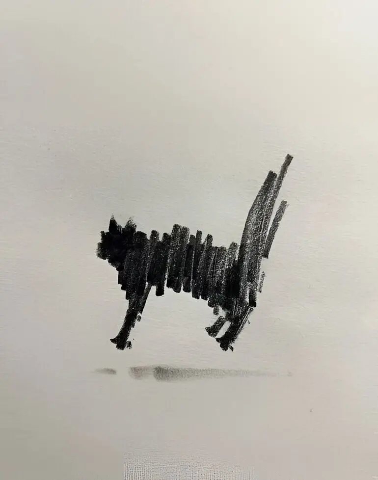 Карандашные котики Шоу Синя: минимализм, который вдохновляет