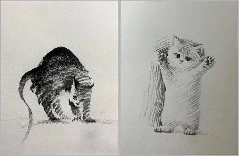 Карандашные котики Шоу Синя: минимализм, который вдохновляет