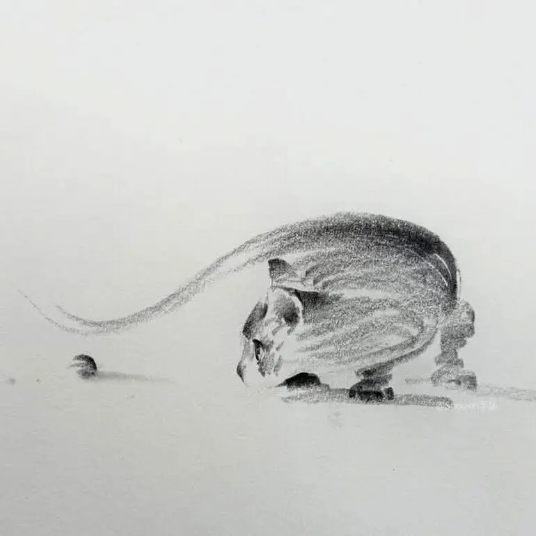 Карандашные котики Шоу Синя: минимализм, который вдохновляет