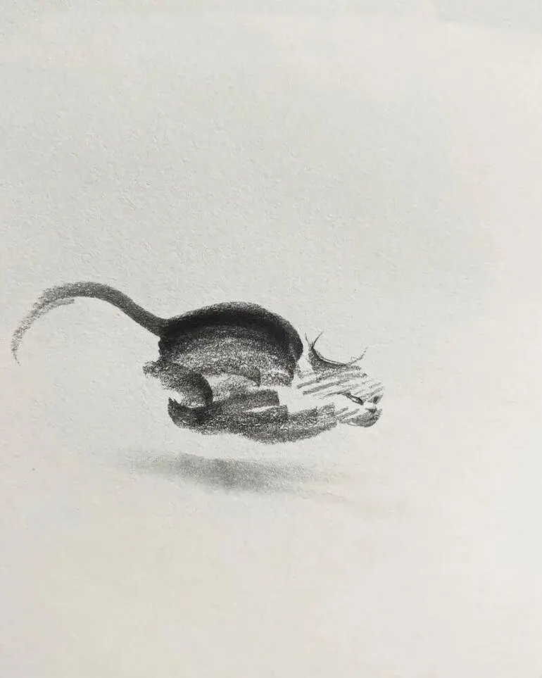 Карандашные котики Шоу Синя: минимализм, который вдохновляет