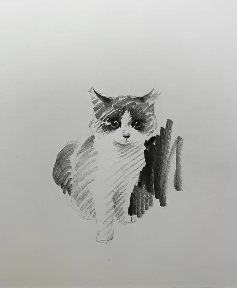 Карандашные котики Шоу Синя: минимализм, который вдохновляет