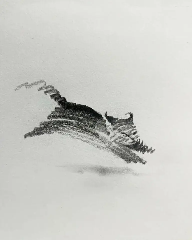 Карандашные котики Шоу Синя: минимализм, который вдохновляет