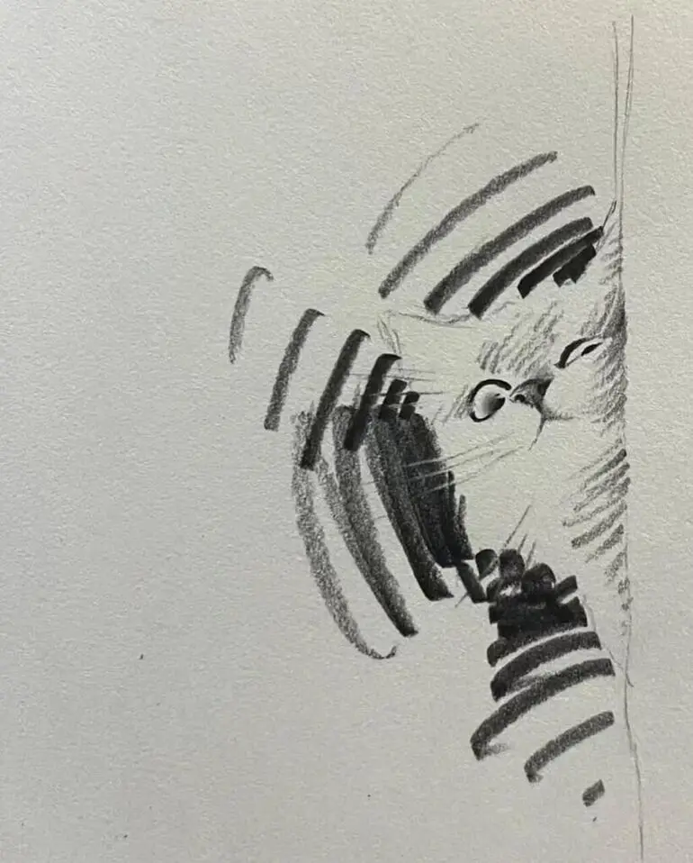 Карандашные котики Шоу Синя: минимализм, который вдохновляет