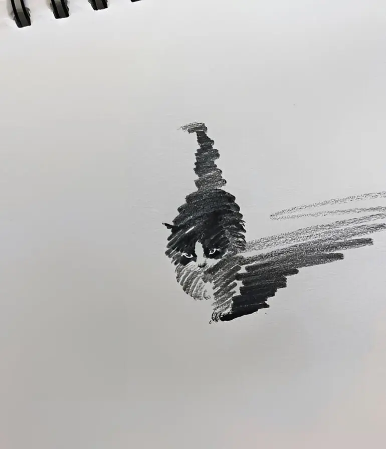 Карандашные котики Шоу Синя: минимализм, который вдохновляет