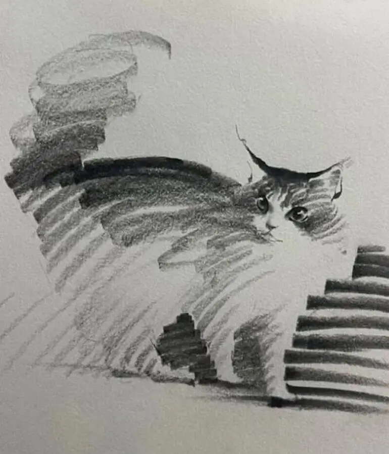 Карандашные котики Шоу Синя: минимализм, который вдохновляет