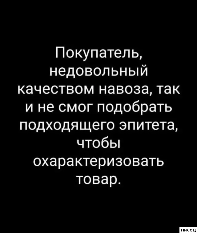 Жизненные цитаты: когда автор читает твои мысли