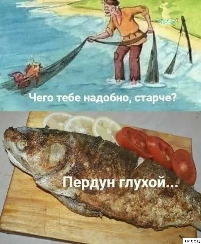 Отличная подборка приколов для поднятия настроения