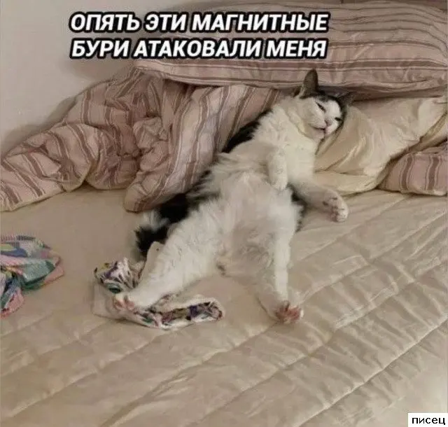 Отличная подборка приколов для поднятия настроения