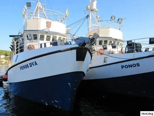 Безумный креатив: самые прикольные надписи из интернета