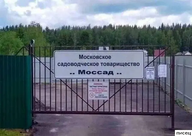 Безумный креатив: самые прикольные надписи из интернета