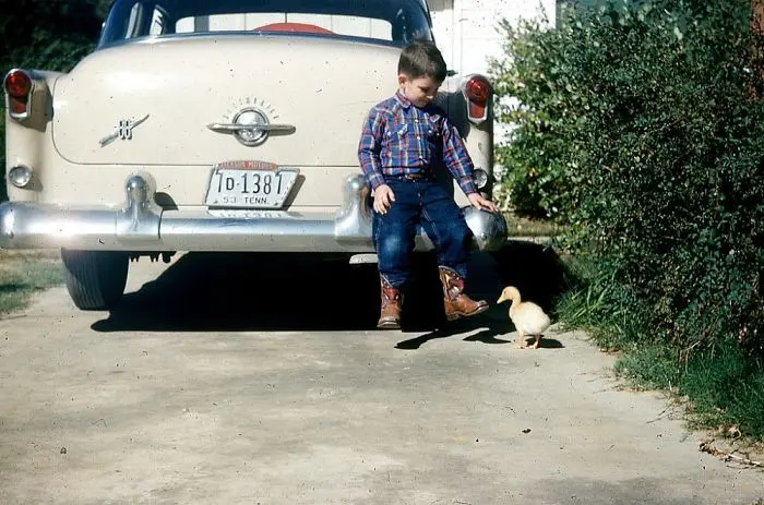 Америка в цвете: как выглядели 1950-е на самом деле