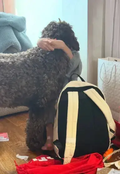 Светлана Иванова поздравила дочь Миру с 8-летием трогательными фото