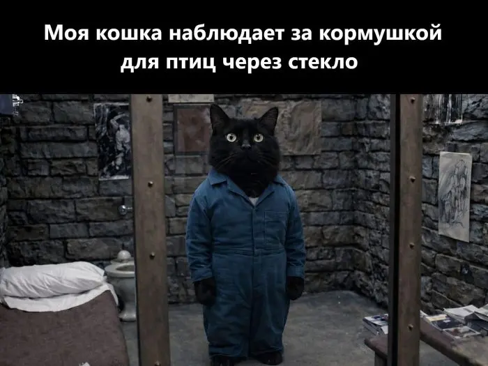 Свежая порция смеха из глубин интернета приколы, мемы, юмор, смешные картинки, подборка, соцсети, позитив