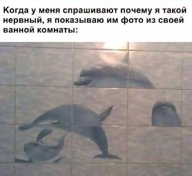 Свежая порция смеха из глубин интернета приколы, мемы, юмор, смешные картинки, подборка, соцсети, позитив