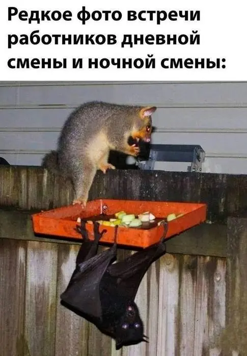 Смех до слёз: огромная порция свежих мемов перед выходными мемы, приколы, юмор, картинки, смешно, подборка, выходные