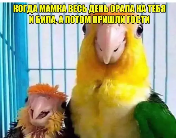 Свежая порция юмора: анекдоты на все случаи жизни анекдоты, приколы, юмор, смех, армия, ГАИ, девушки, мужчины, быт