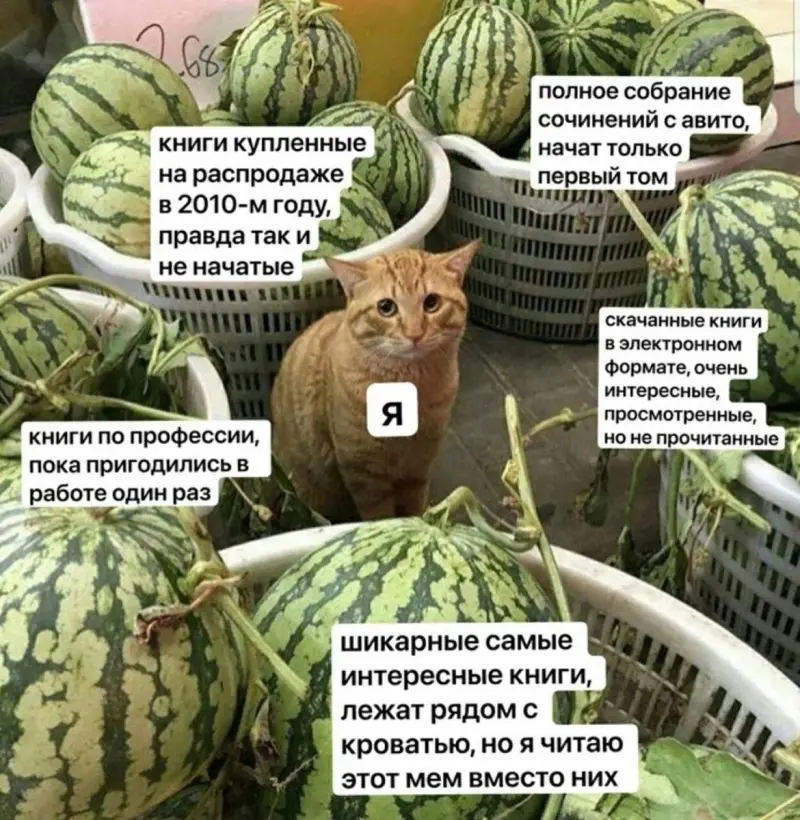 Книжный юмор: мемы для тех, кто читает от корки до корки книги, мемы, читатели, юмор, литература, картинки, день книг, авторское право, подборка