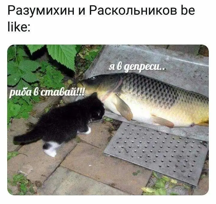 Книжный юмор: мемы для тех, кто читает от корки до корки книги, мемы, читатели, юмор, литература, картинки, день книг, авторское право, подборка