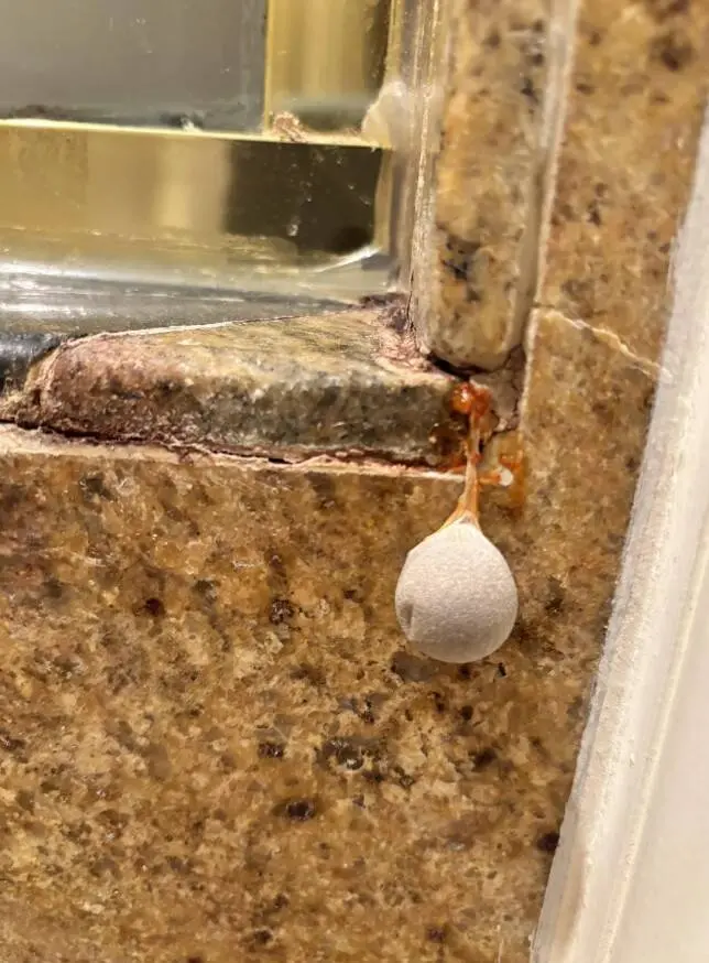 ИИ в тупике: 15 странных вещей, которые смогли опознать только люди загадочные предметы, что это такое, странные находки, ИИ, интернет, ретро, бытовые вещи, распознавание