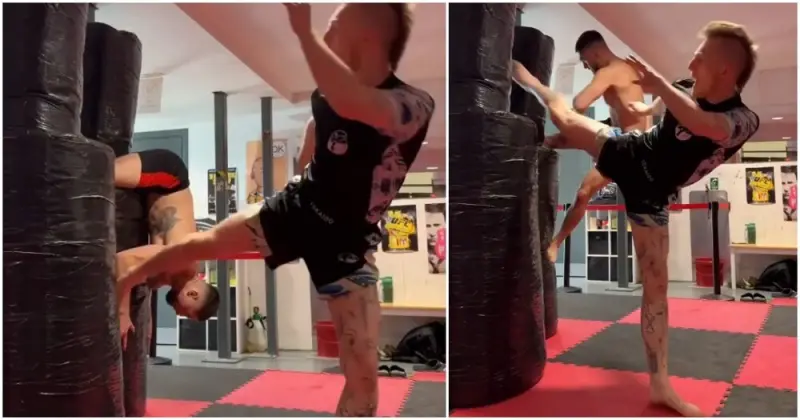 Парни тренируются как коты: забавное видео ночных спаррингов тренировка, коты, видео, прикол, парни, спарринг