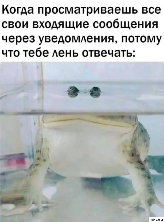 Очередная серия приколов «Когда»: Заходи и ржи! приколы, когда, мемы, картинки, юмор, подборка