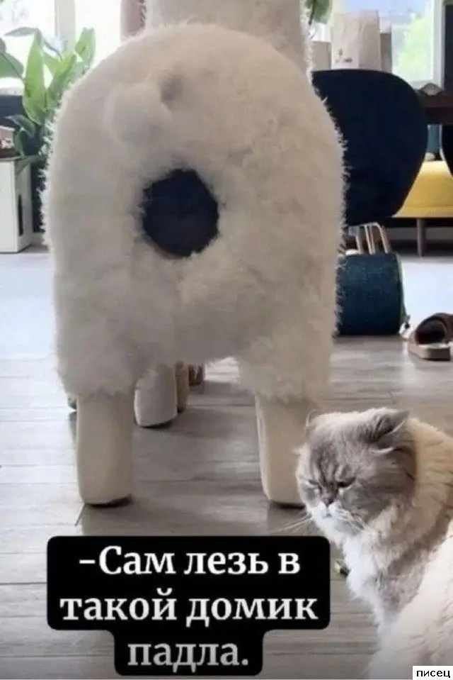 Самый сок: улетная подборка приколов со всего интернета приколы, мемы, смешные картинки, юмор, интернет, подборка, фото