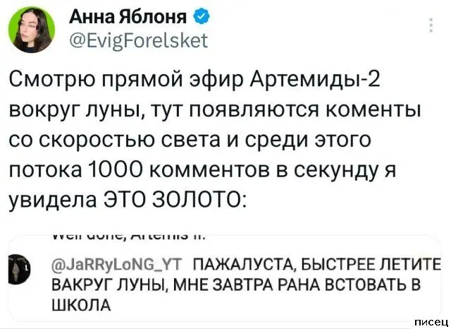 Смешные комментарии из соцсетей: подборка для хорошего настроения приколы, комментарии, соцсети, юмор, смешное, подборка, картинки