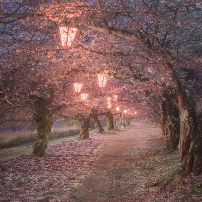 Великолепные пейзажи планеты: новая подборка от Даниила Коржавина фотографии, пейзажи, планета, Коржавин, природа, красота, подборка, снимки