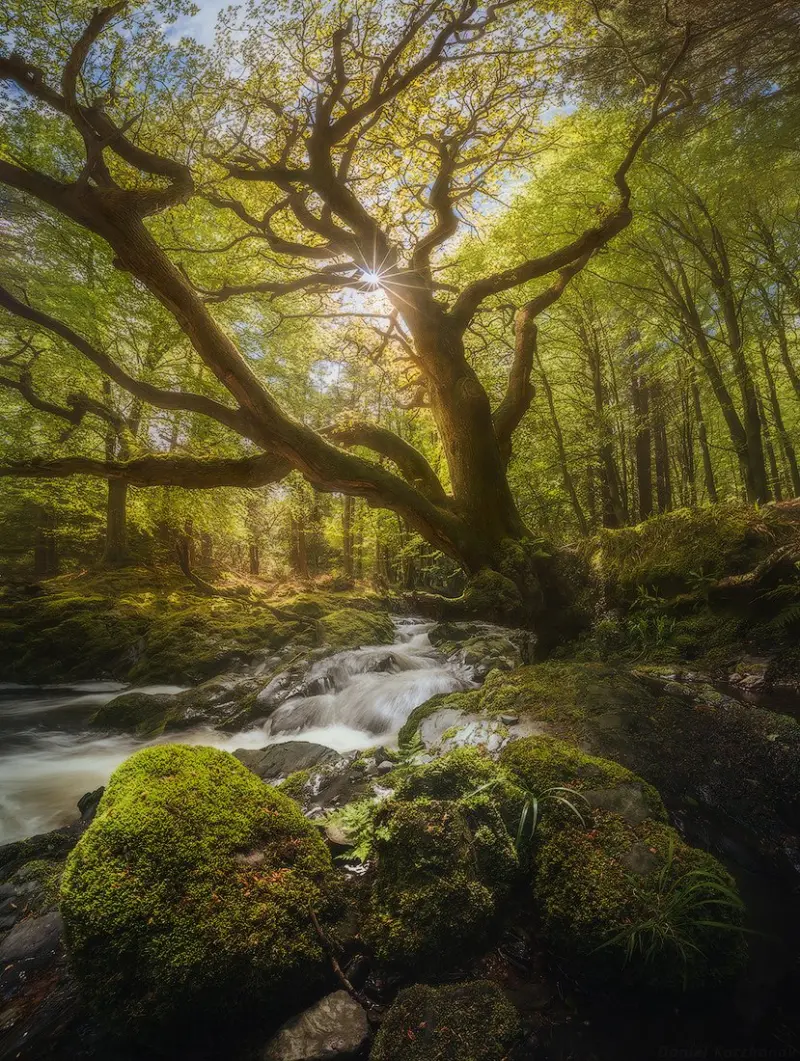 Великолепные пейзажи планеты: новая подборка от Даниила Коржавина фотографии, пейзажи, планета, Коржавин, природа, красота, подборка, снимки