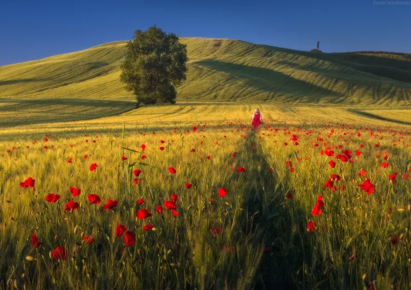 Великолепные пейзажи планеты: новая подборка от Даниила Коржавина фотографии, пейзажи, планета, Коржавин, природа, красота, подборка, снимки