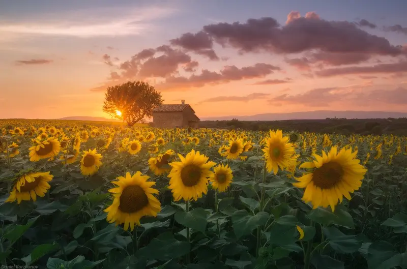 Великолепные пейзажи планеты: новая подборка от Даниила Коржавина фотографии, пейзажи, планета, Коржавин, природа, красота, подборка, снимки