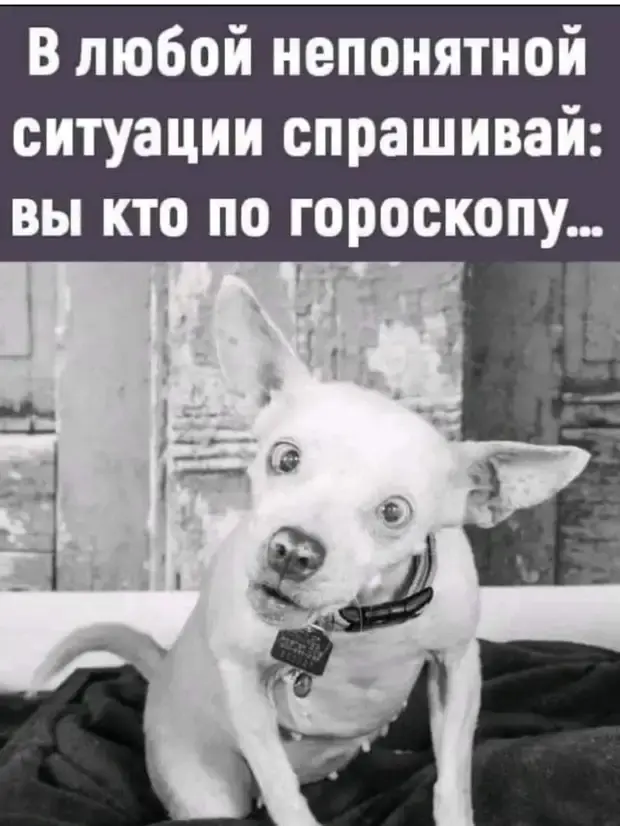 Мамы, Вовочка и неловкие ситуации: подборка забавных историй мамы, Вовочка, анекдоты, приколы, смешные истории, юмор, жизненные ситуации, татуировки