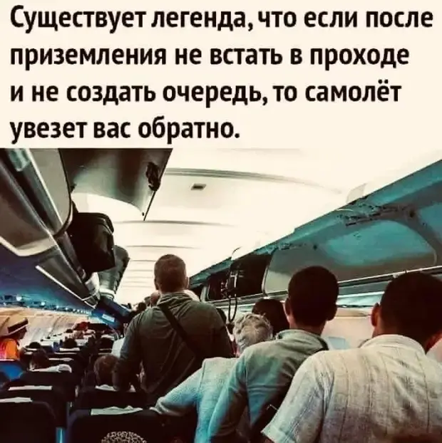 Тело, погруженное в шубу, испытывает счастье и другие забавные истории приколы, юмор, истории из жизни, анекдоты, смешные диалоги, кошатники, мужчины, отпуск, шуба