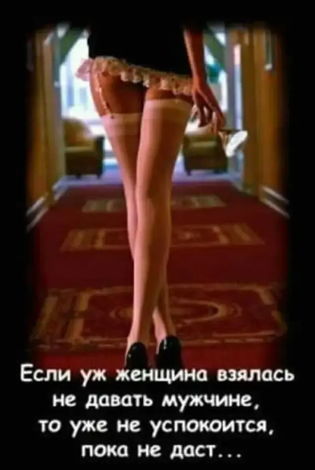 Тело, погруженное в шубу, испытывает счастье и другие забавные истории приколы, юмор, истории из жизни, анекдоты, смешные диалоги, кошатники, мужчины, отпуск, шуба