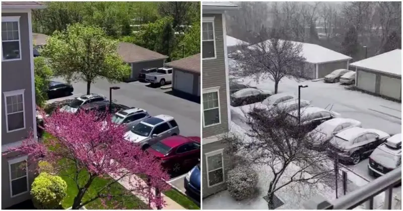 4 сезона года за 20 секунд: завораживающий ролик о быстротечности времени