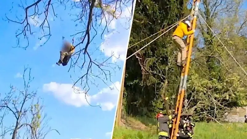 Пожарные вызволили парапланериста из плена на дереве