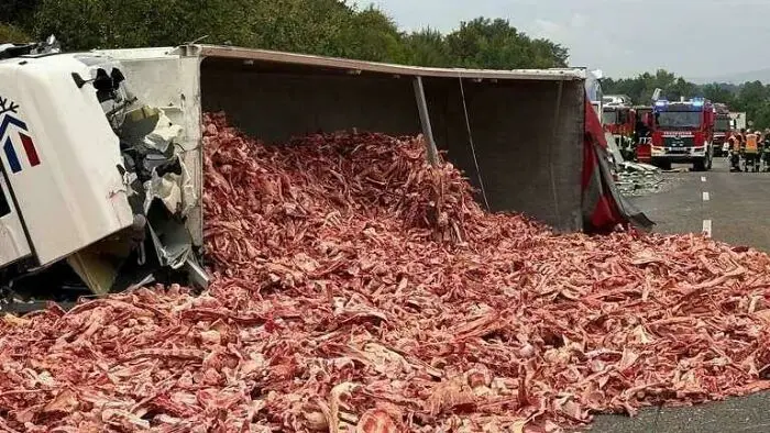 Одна секунда — и ты банкрот: 17 провалов, за которые заплатили слишком много провалы, ошибки, финансы, дорогие вещи, аварии, катастрофы