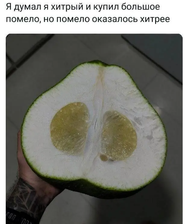 Лучшие приколы выходного дня: 40+ мемов для отличного настроения приколы, мемы, смешные картинки, юмор, подборка, выходные, позитив, угар