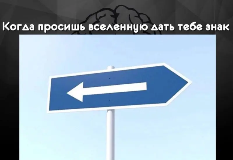 Лучшие приколы выходного дня: 40+ мемов для отличного настроения приколы, мемы, смешные картинки, юмор, подборка, выходные, позитив, угар