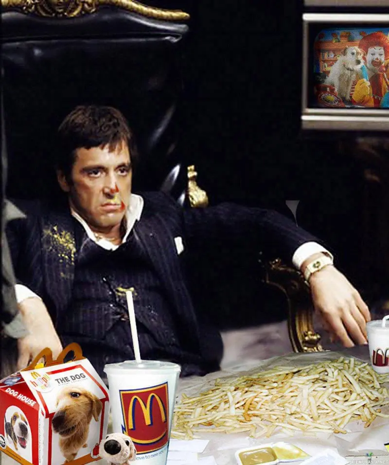 Аль Пачино разрывает: 30+ мемов к 86-летию легенды Аль Пачино, мемы, приколы, картинки, день рождения, кино, Лицо со шрамом, Крестный отец, Тони Монтана, юмор