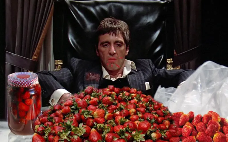 Аль Пачино разрывает: 30+ мемов к 86-летию легенды Аль Пачино, мемы, приколы, картинки, день рождения, кино, Лицо со шрамом, Крестный отец, Тони Монтана, юмор