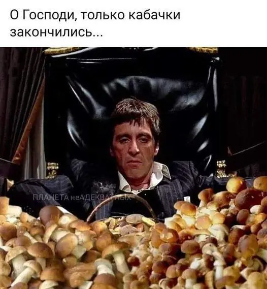 Аль Пачино разрывает: 30+ мемов к 86-летию легенды Аль Пачино, мемы, приколы, картинки, день рождения, кино, Лицо со шрамом, Крестный отец, Тони Монтана, юмор