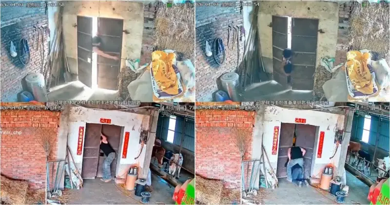 Ключ, проем и два застрявших горе-спасателя