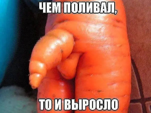 Природа без фотошопа: 40+ кадров, от которых захватывает дух природа, фотошоп, невероятно, подборка, удивительное, совпадения, кадры