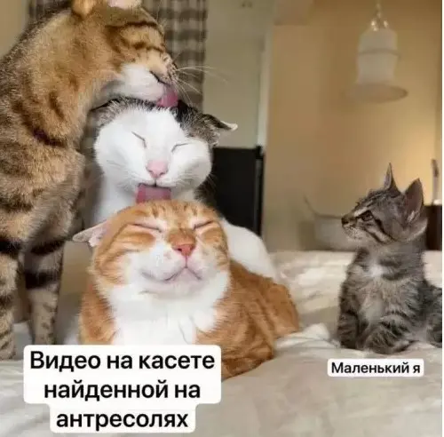 Смех до упаду: свежая порция мемов для отличного настроения мемы, приколы, подборка, юмор, картинки, смешное