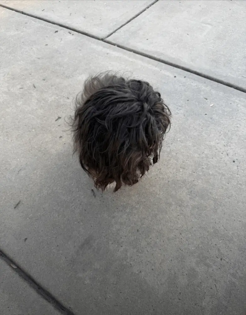 22 снимка, где реальность поспорила с перспективой оптические иллюзии, обман зрения, приколы, фото, ракурс, перспектива