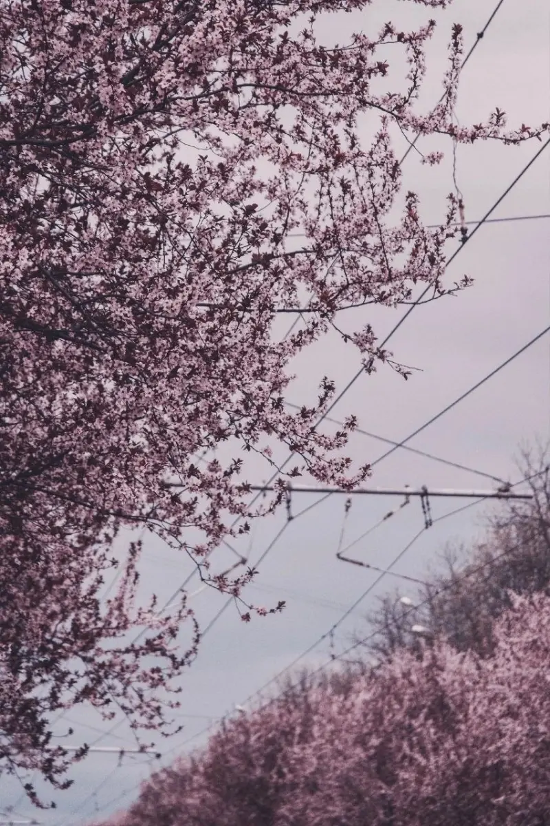 Красоты России: 70+ фото, от которых захватывает дух природа, Россия, пейзажи, путешествия, фото, горы, озера, Карелия, Алтай, Дагестан